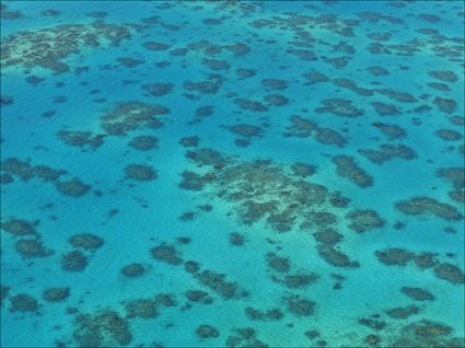 Great Barrier Reef - QLD SQ (PBH4 00 14829)